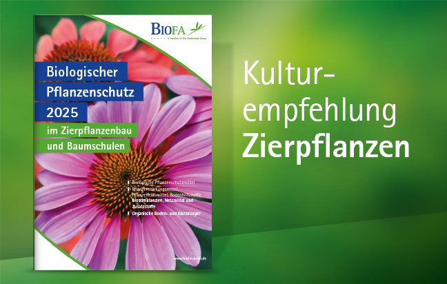 Jetzt Zierpflanzen Kulturempfehlung downloaden