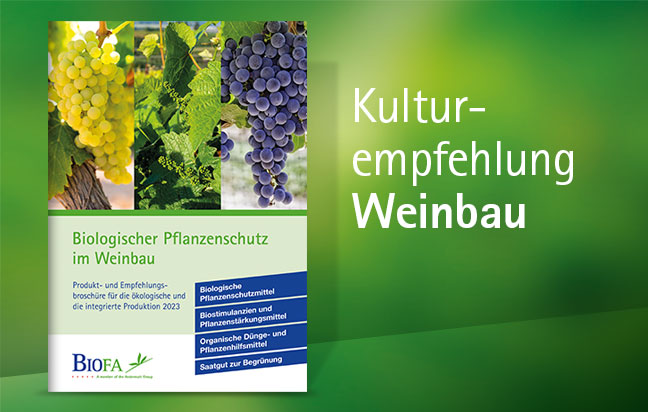 Jetzt Weinbau Kulturempfehlung downloaden