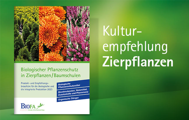 Jetzt Zierpflanzen Kulturempfehlung downloaden